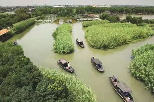 烽火蘆蕩，青春定向 2019首屆華僑城杯沙家浜紅色定向賽邀您啟程